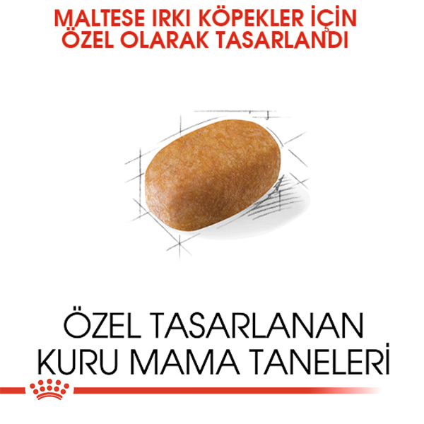 Royal Canin Maltese Adult Yetişkin Köpek Maması 1,5kg