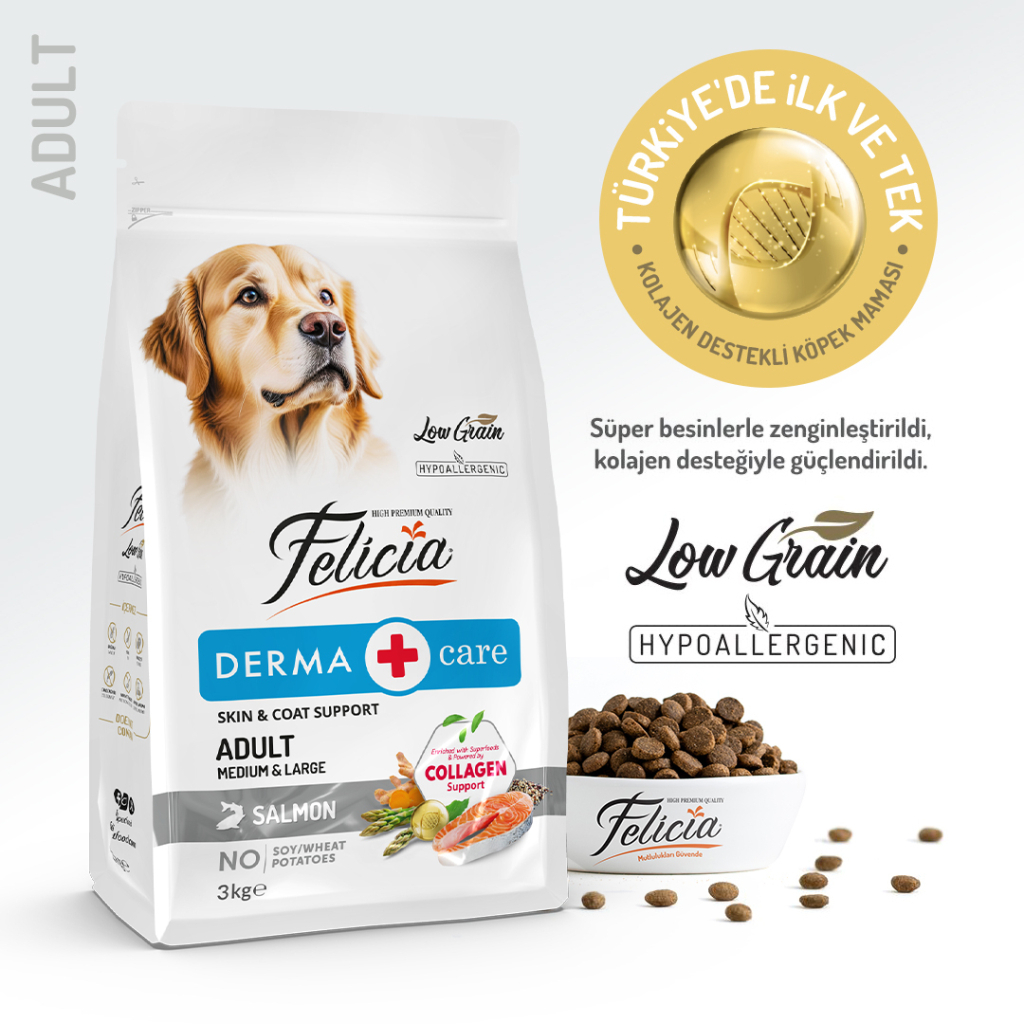 Felicia Derma Care Somonlu Düşük Tahıllı Yetişkin Köpek Maması 3kg