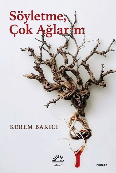 Söyletme Çok Ağlarım