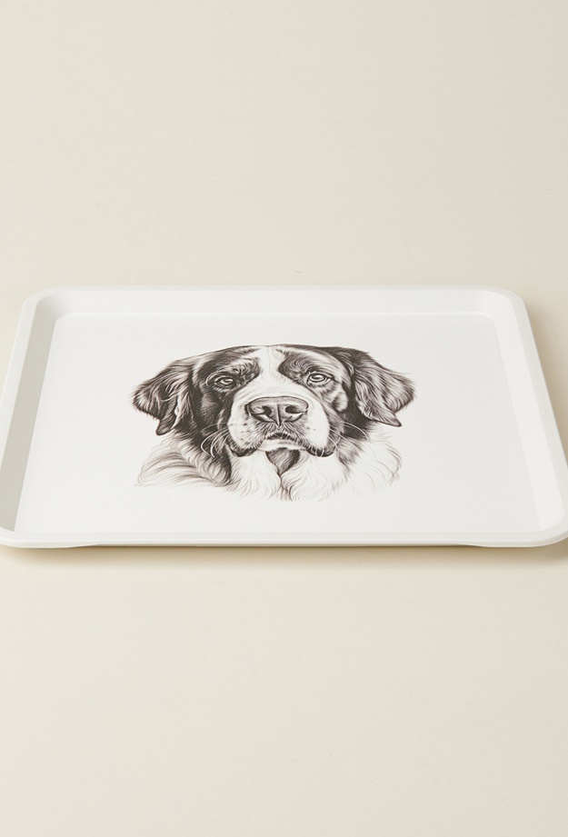 Zucci Animals Kare Tepsi - Asorti - 33x33 cm