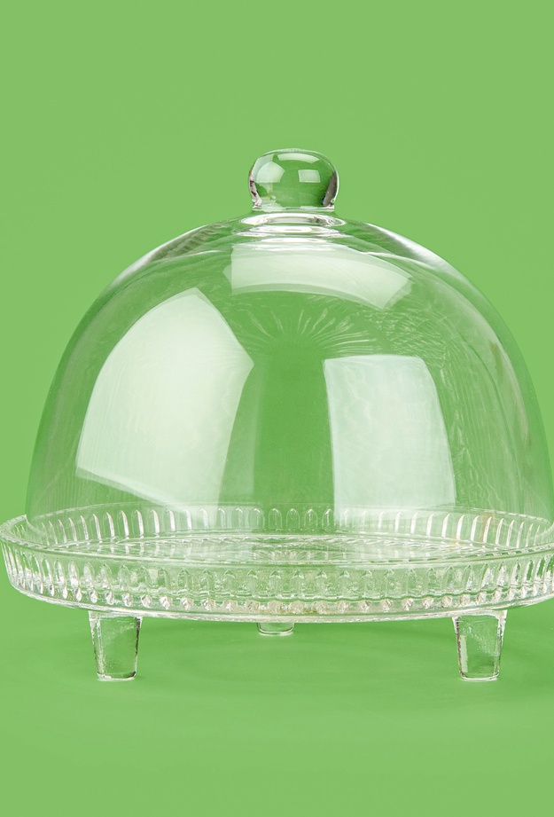 Alegre Glass Lulu Kristal Kapaklı Fanus - Şeffaf - 22x20 cm