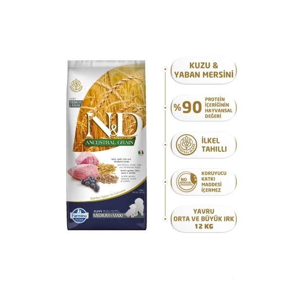 N&D Ancestral Grain Medium&Maxi Kuzu Etli Yaban Mersinli Orta ve Büyük Irk Yavru Köpek Maması 12kg