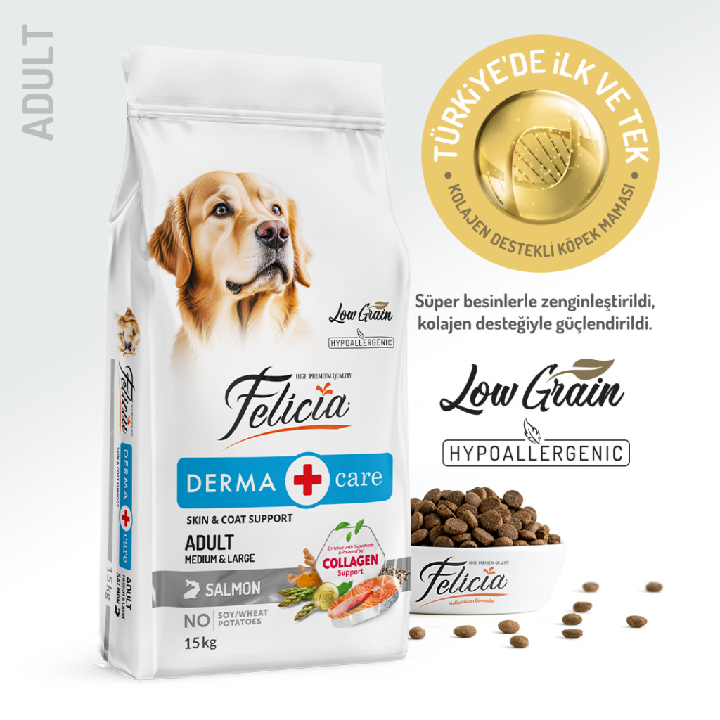 Felicia Derma Care Somonlu Düşük Tahıllı Yetişkin Köpek Maması 15kg