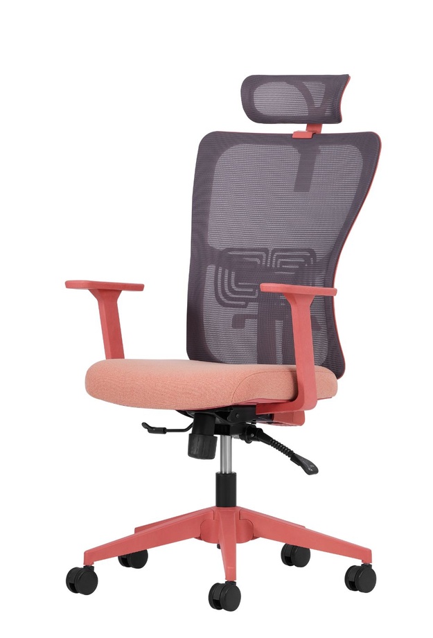 Decofis Lumbar Yönetici Koltuğu - Somon