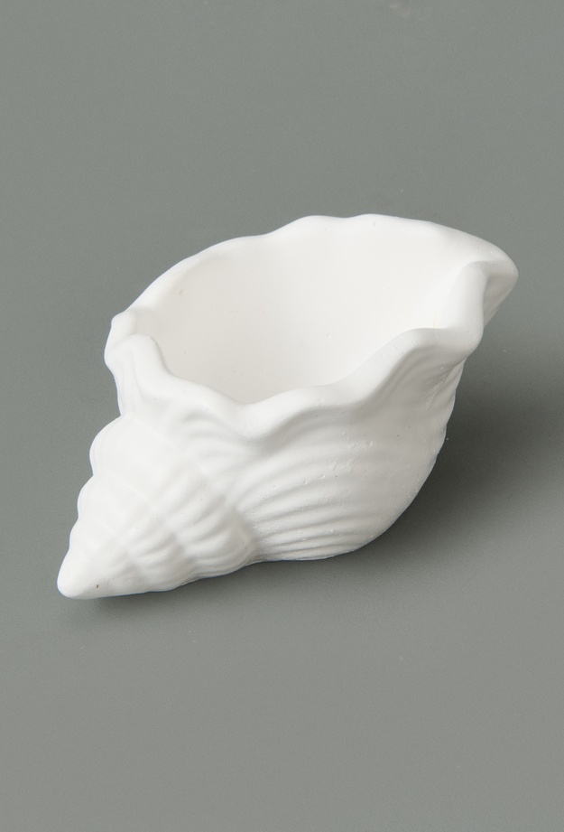 Evidea Deco Nautilius Dekor - Beyaz - 10 cm