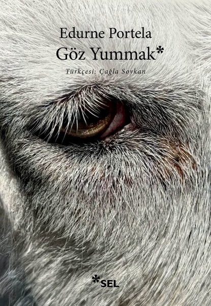 Göz Yummak